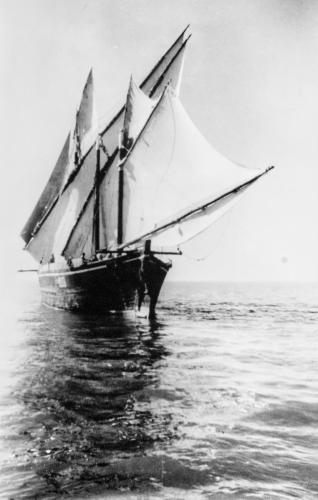 Dhow-sailing