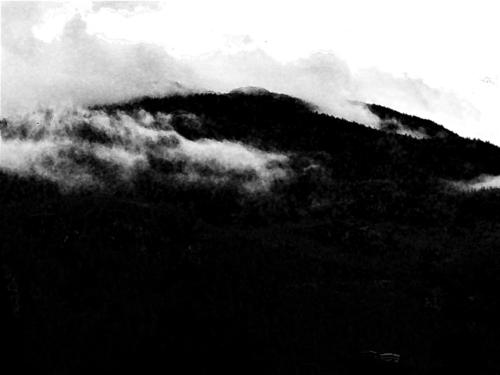 Mists on the Mountain