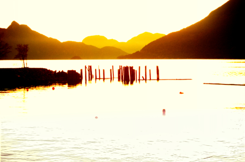 Pilings at sunset