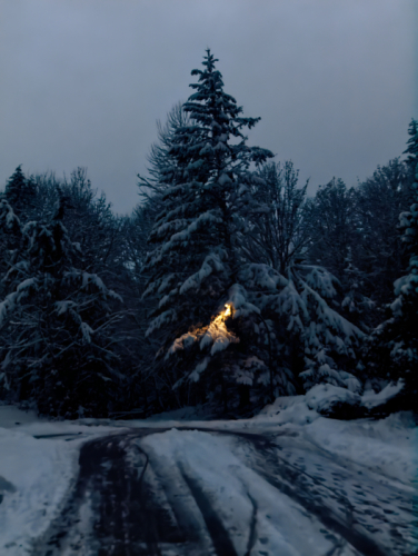 Street Lamp in Winter