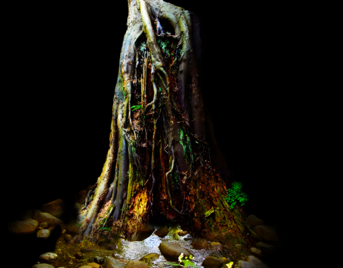 The Poem Tree Pinlight