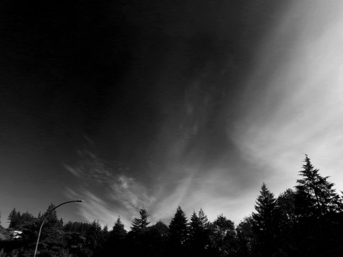 Sky in Black and White
