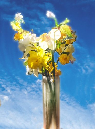 The Flowers of Spring