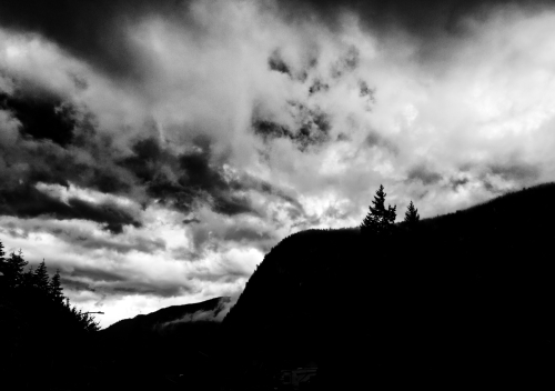 Two Trees on the Mountain in BW