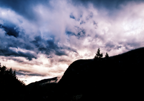 Two Trees on the Mountain in Color