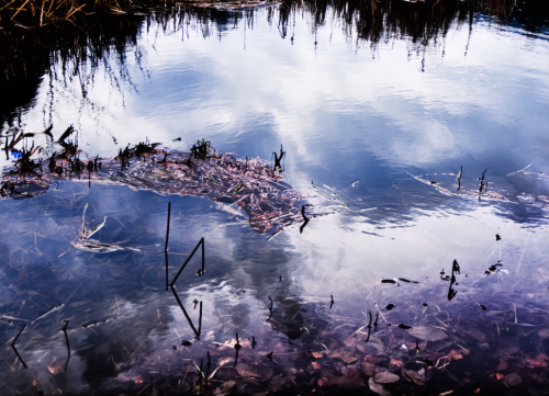 The Sky in the Lake